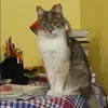 Отзыв от Карина Розанова